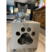 Skrāpējams Paklājiņš Kaķiem Carton+Pets Netti Bronza Kartons 35 x 35 x 35 cm