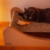 Viseći ležaj za mačke Carton+Pets Mia Siva