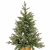 Sapin de Noël Vert Doré Polyéthylène 58 x 58 x 90 cm