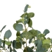 Decoratieve plant 78 x 68 x 150 cm Groen PVC Eucalyptus