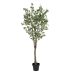 Decoratieve plant 80 x 75 x 173 cm Groen PVC Eucalyptus