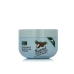 Fugtgivende maske Xpel Coconut 250 ml Kokos