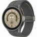 Smartwatch Samsung Grijs 45 mm 4G