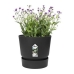 Bloempot Elho Greenville Zwart Plastic Rond Cirkelvormig Ø 30 cm Ø 29,5 x 27,8 cm