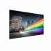 Монитор Videowall Philips 75BFL2214/12 75