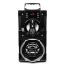 Portable Bluetooth Speakers SQUEAK SQ1000 Black 20 W