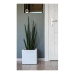 Plant pot EDA White Plastic 5 cm