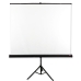 Projection Screen Avtek Tripod Standard 200