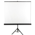 Projection Screen Avtek Tripod Standard 200