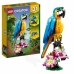 Playset Lego Creator 31136 Exotic parrot with frog and fish 3-in-1 253 Kappaletta