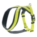 Hundsele Hunter London Comfort 73-100 cm Storlek L Lime