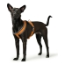 Hundesele Hunter London Comfort Orange S/M 52-62 cm