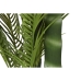 Dekorativní rostlina Home ESPRIT Polyetylen Cement Palma 100 x 100 x 235 cm
