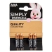 Pilas Alcalinas LR03 DURACELL (10 Unidades)