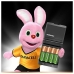 Lādētājs + uzlādējamas baterijas DURACELL CEF27 2 x AA + 2 x AAA 1700 mAh 750 mAh (1 gb.)