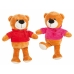 Urso de Peluche Polar com Capuz 30 cm