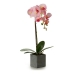 Decoratieve plant Orchidee 15 x 43 x 18 cm Plastic