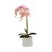 Dekoratyvinis augalas Ibergarden A18124-50-2WH Plastmasinis Orchidėja 18 x 47 x 14 cm (6 vnt.)