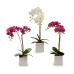 Dekoratyvinis augalas Ibergarden A18124-50-2WH Plastmasinis Orchidėja 18 x 47 x 14 cm (6 vnt.)