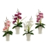 Dekoratyvinė gėlė Orchidėja Plastmasinis 14 x 35 x 8 cm (12 vnt.)