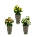 Decoratieve plant Plastic 11 x 22 x 11 cm