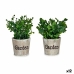 Decoratieve plant Plastic 16 x 22 x 16 cm (12 Stuks)