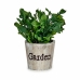 Decoratieve plant Plastic 16 x 22 x 16 cm (12 Stuks)