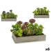 Decoratieve plant Ibergarden XD18-1220 Plastic Cement Vetplant 16,5 x 20 x 28,5 cm (6 Stuks)