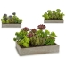 Decoratieve plant Ibergarden XD18-1220 Plastic Cement Vetplant 16,5 x 20 x 28,5 cm (6 Stuks)