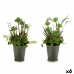 Dekorativ plante Blomstereng Plastik 20 x 41 x 20 cm (6 enheder)