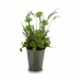 Dekorativ plante Blomstereng Plastik 20 x 41 x 20 cm (6 enheder)