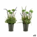 Dekorativ plante Lavendel Metal Plastik 13 x 40 x 13 cm (12 enheder)