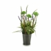 Dekorativ Plante Ibergarden XD16-818 Metall Plast Lavendel 13 x 40 x 13 cm (12 enheter)