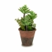 Dekorativ Plante Saftige Plast 16 x 23 x 16 cm (12 enheter)