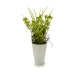 Dekorativ plante Blomst Plastik 12 x 30 x 12 cm (12 enheder)