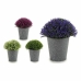 Decoratieve plant Ibergarden A18124-91 Plastic 14 x 15 x 14 cm (12 Stuks)