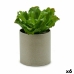 Decorative Plant Ibergarden YC181588 20 x 25 x 20 cm (6 Units)