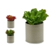 Decorative Plant Ibergarden YC181588 20 x 25 x 20 cm (6 Units)