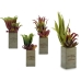 Decoratieve plant Flowers Garden Bruin Groen 10 x 50 x 10 cm (4 Stuks)