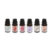 Essensielle oljer Atmosphera 15 ml (6 Deler)