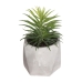 Dekorativ Plante Atmosphera 7 x 14 cm Grønn PVC