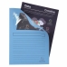 Subfolder Exacompta Forever Transparent window A4 100 Pieces