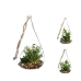 Decoratieve plant Atmosphera 10 x 19,5 cm Kristal Groen