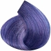 Tinte Permanente Inebrya Color Lavanda 100 ml