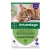 Antiparasitter Advantage Katt Kanin +4 Kg 4 enheter 0,8 ml
