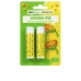 Bálsamo Labial Face Facts Lemon Pie Limão 2 Unidades 4,25 g