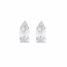 Ladies' Earrings Amen EBABBBZ