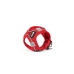 Imbracatura per Cani Gloria Trek Star 33,4-35 cm 51-52 cm Rosso L