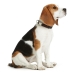 Dog collar Hunter Alu-Strong Beige Size L (45-65 cm)