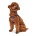 Imbracatura per Cani Hunter Hilo-Comfort Rosso Taglia M (55-60 cm)